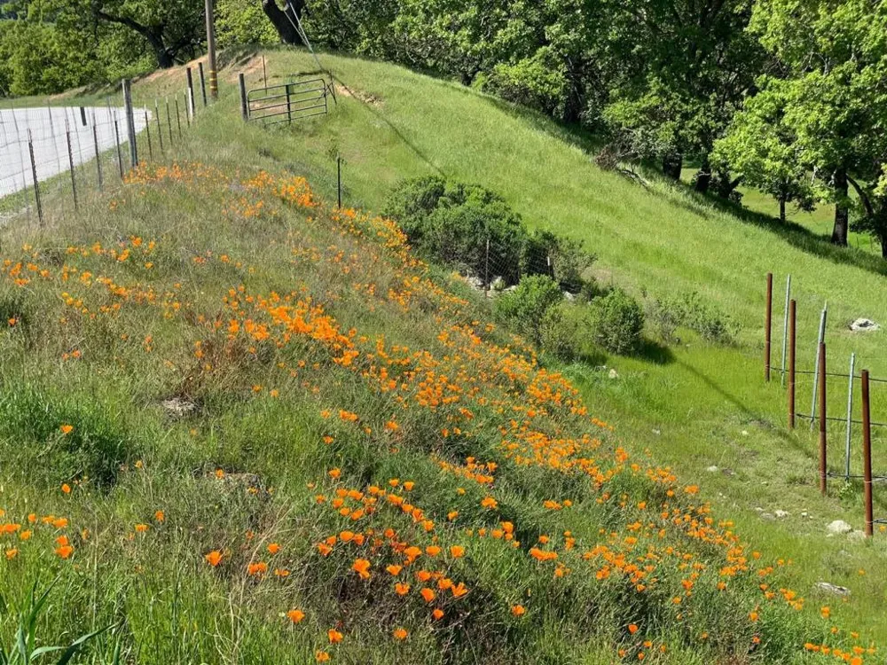 Hayes Lane San Martin, CA 95046