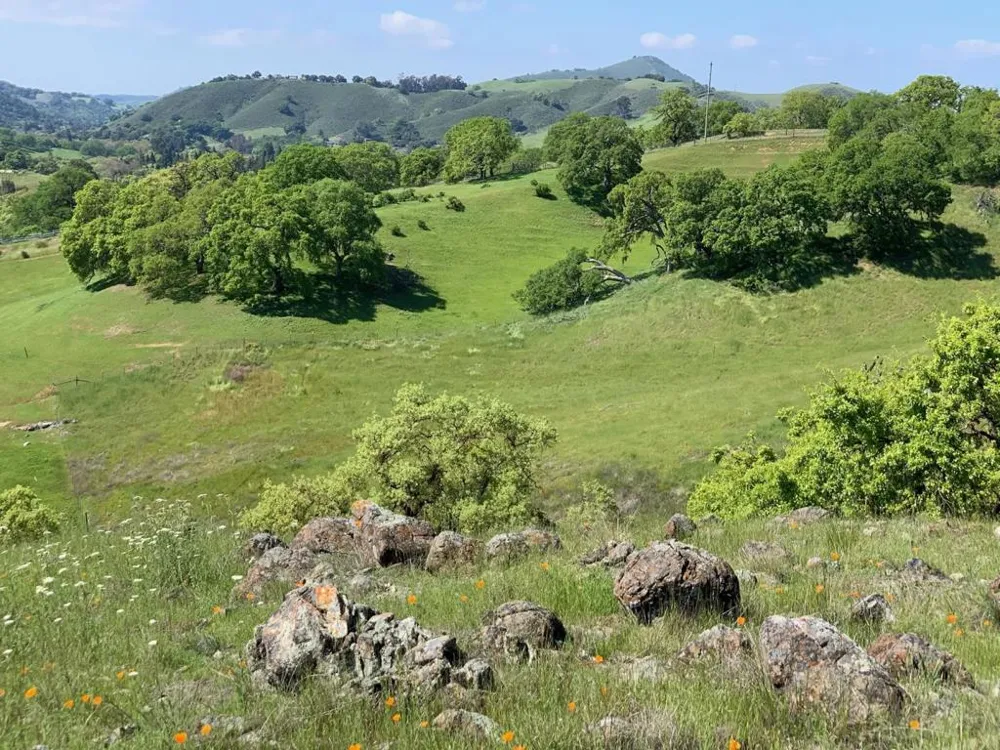 Hayes Lane San Martin, CA 95046