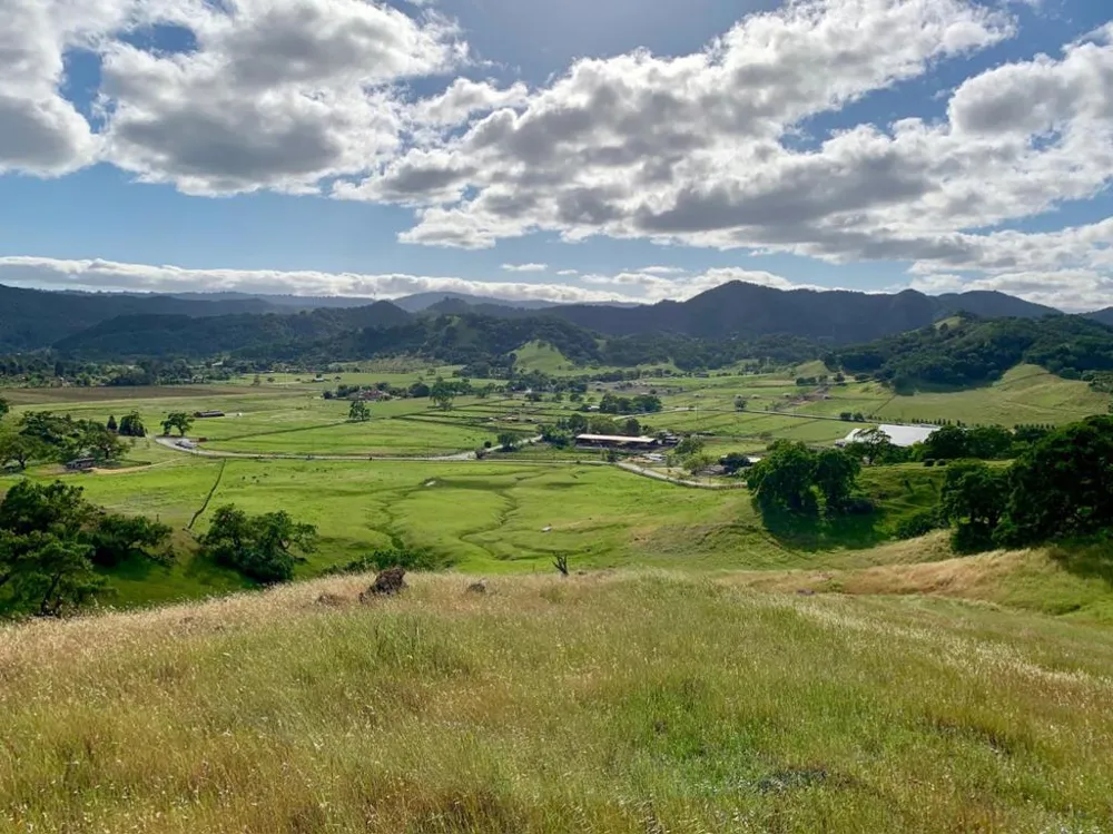 Hayes Lane San Martin, CA 95046