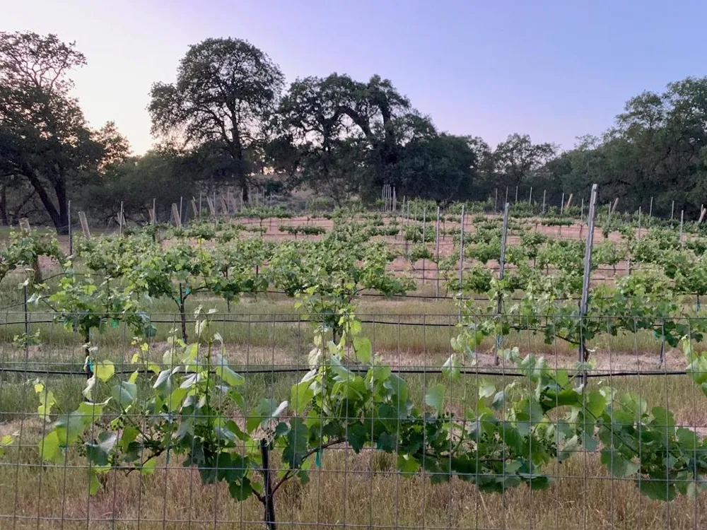 Hayes Lane San Martin, CA 95046