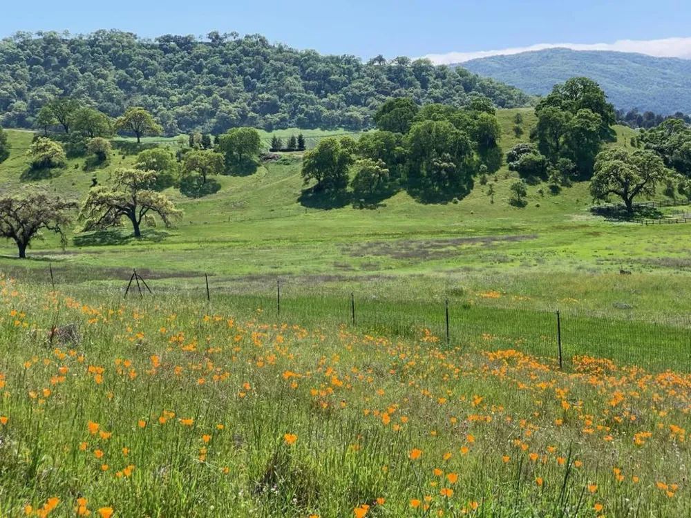 Hayes Lane San Martin, CA 95046