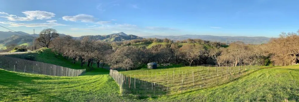 Hayes Lane San Martin, CA 95046