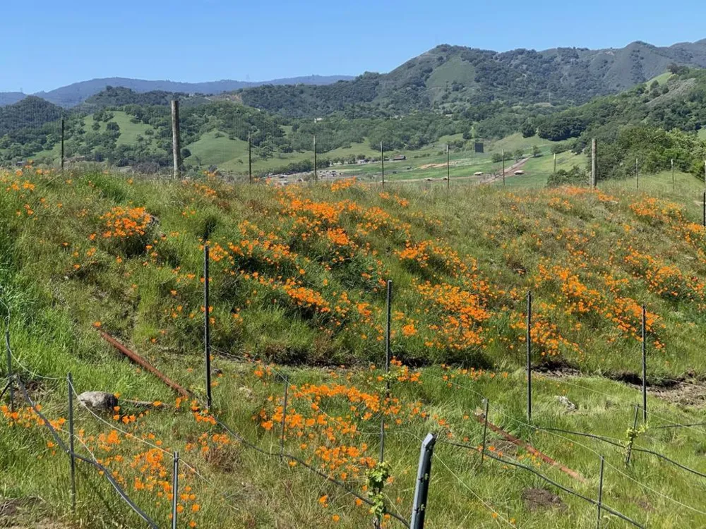 Hayes Lane San Martin, CA 95046