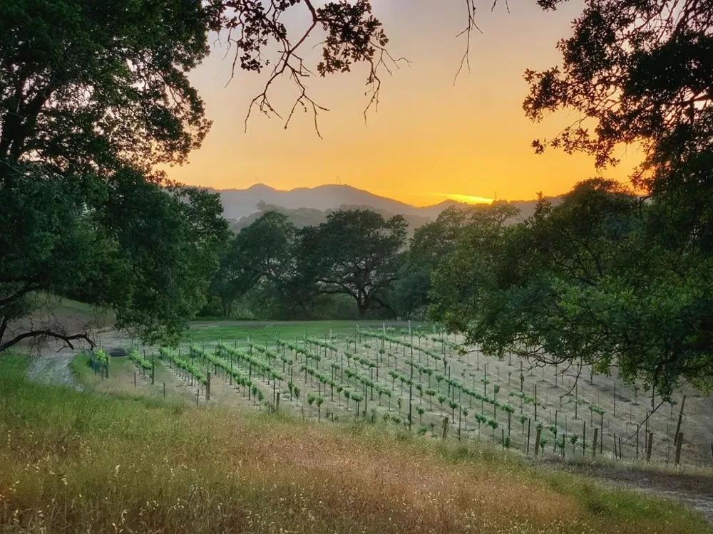 Hayes Lane San Martin, CA 95046