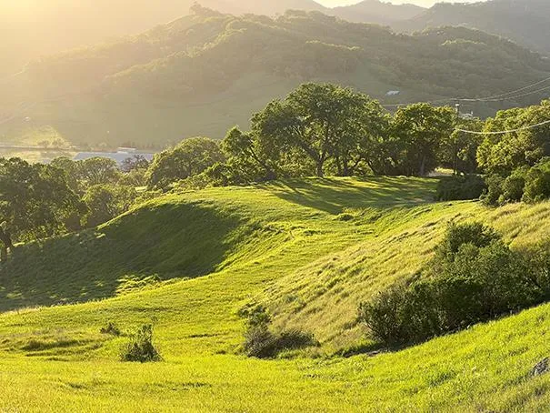 Hayes Lane San Martin, CA 95046