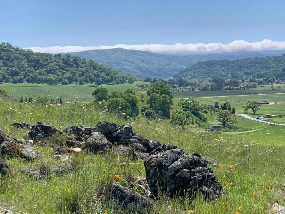 Hayes Lane San Martin, CA 95046