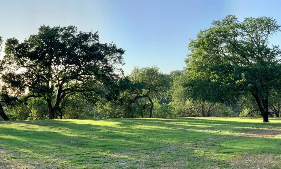 Hayes Lane San Martin, CA 95046