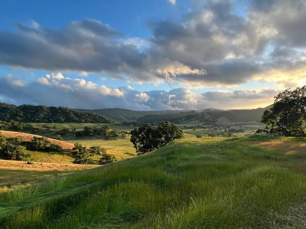 Hayes Lane San Martin, CA 95046