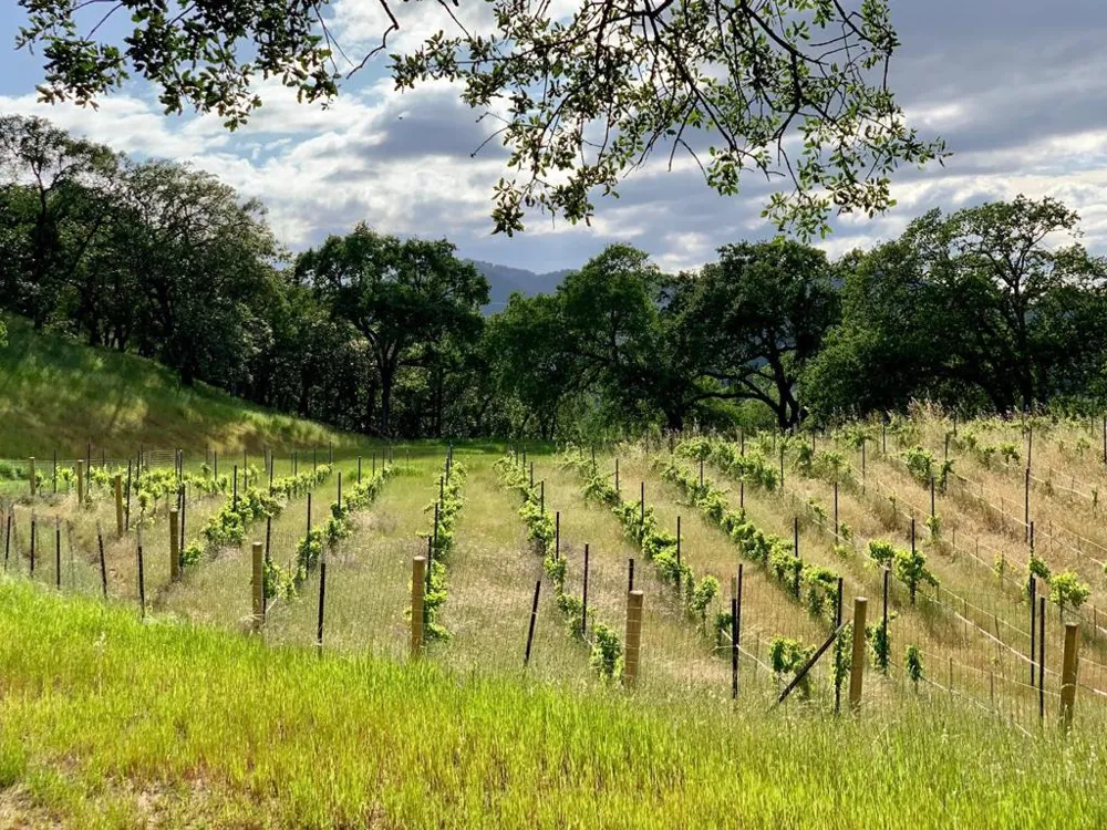 Hayes Lane San Martin, CA 95046