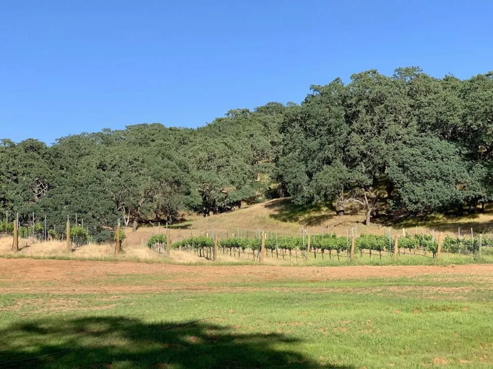 Hayes Lane San Martin, CA 95046
