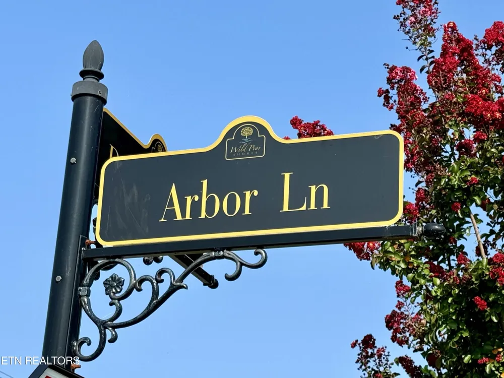 142 Arbor Lane Dandridge, TN 37725