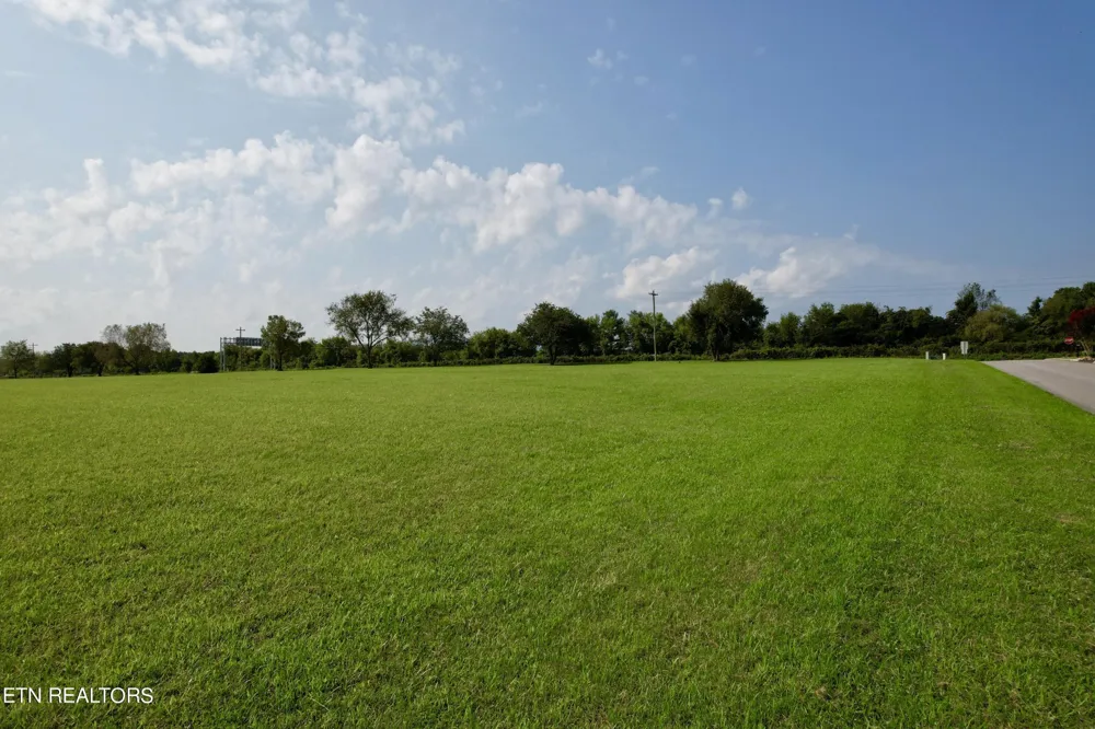 142 Arbor Lane Dandridge, TN 37725