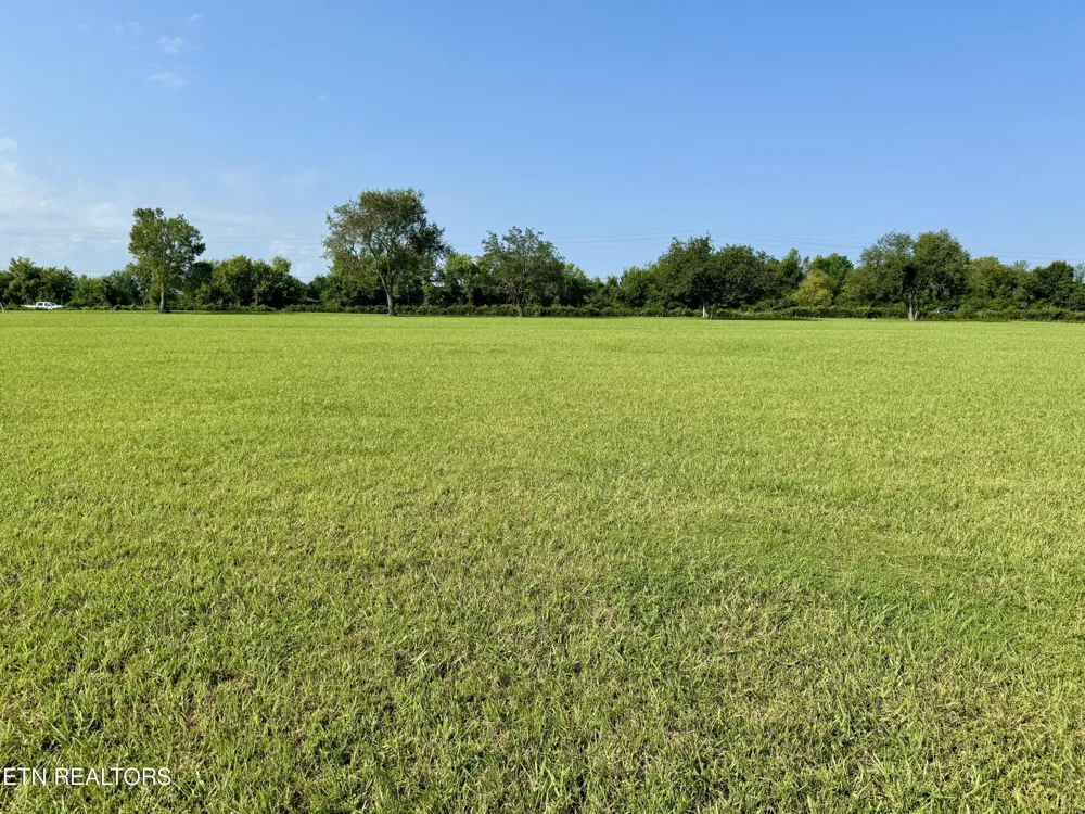 142 Arbor Lane Dandridge, TN 37725