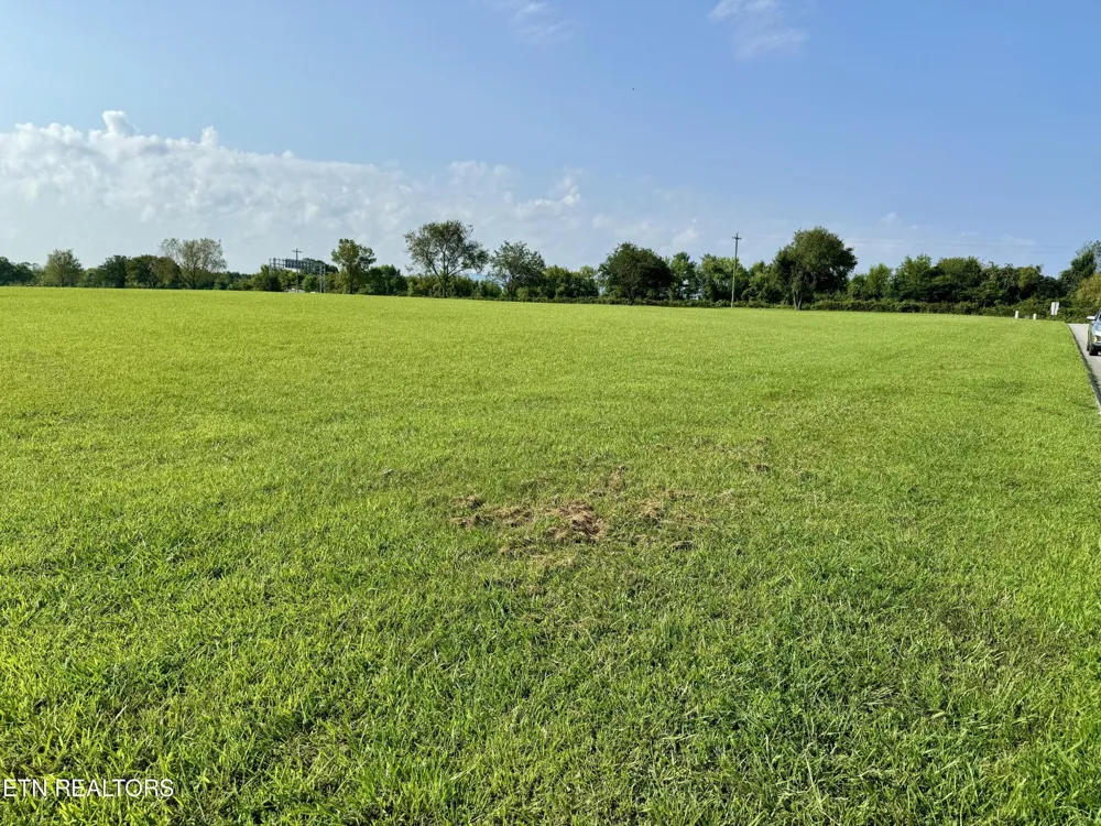 142 Arbor Lane Dandridge, TN 37725