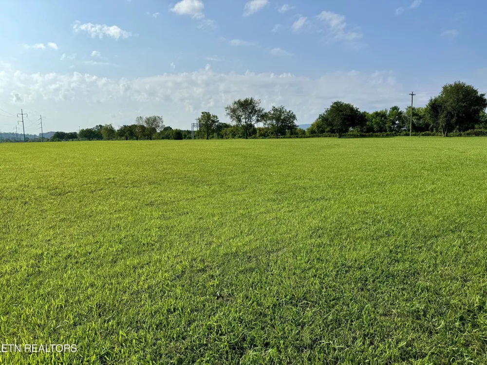 142 Arbor Lane Dandridge, TN 37725