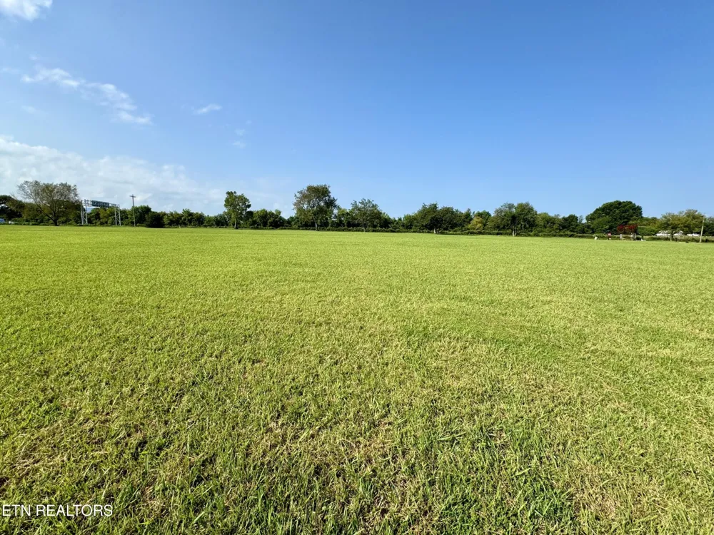 142 Arbor Lane Dandridge, TN 37725