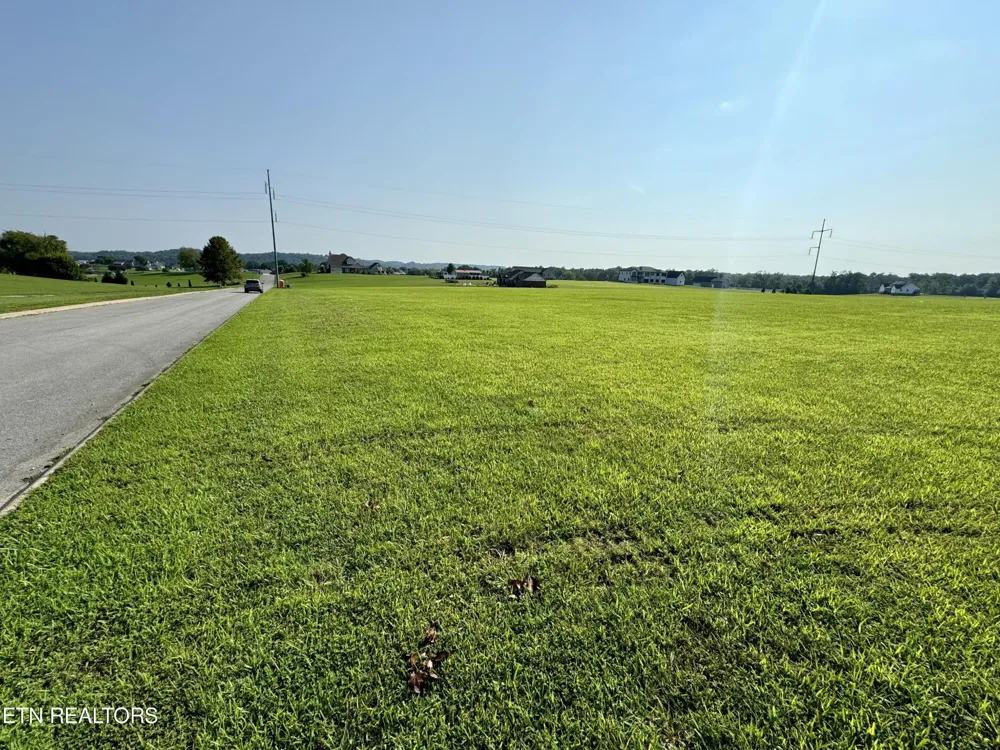 142 Arbor Lane Dandridge, TN 37725