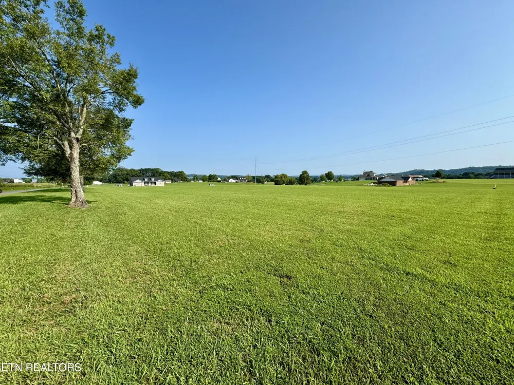 142 Arbor Lane Dandridge, TN 37725