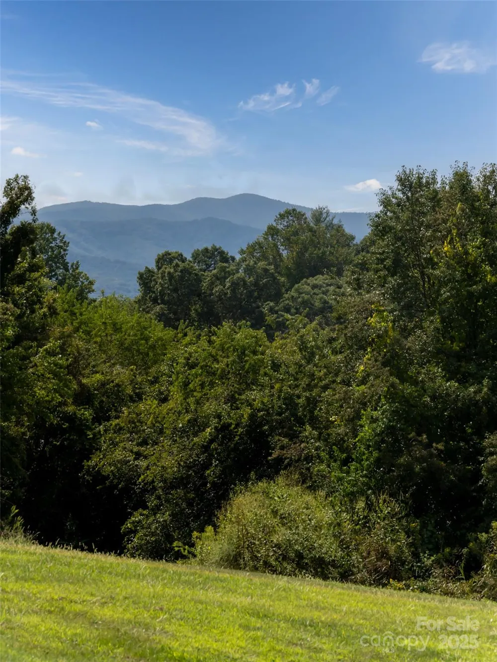 202 Soapstone Trail #68 Mills River, NC 28759