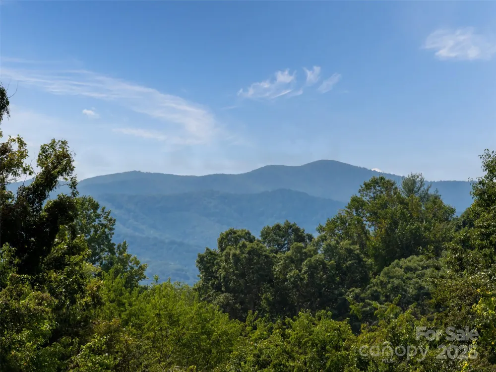 202 Soapstone Trail #68 Mills River, NC 28759