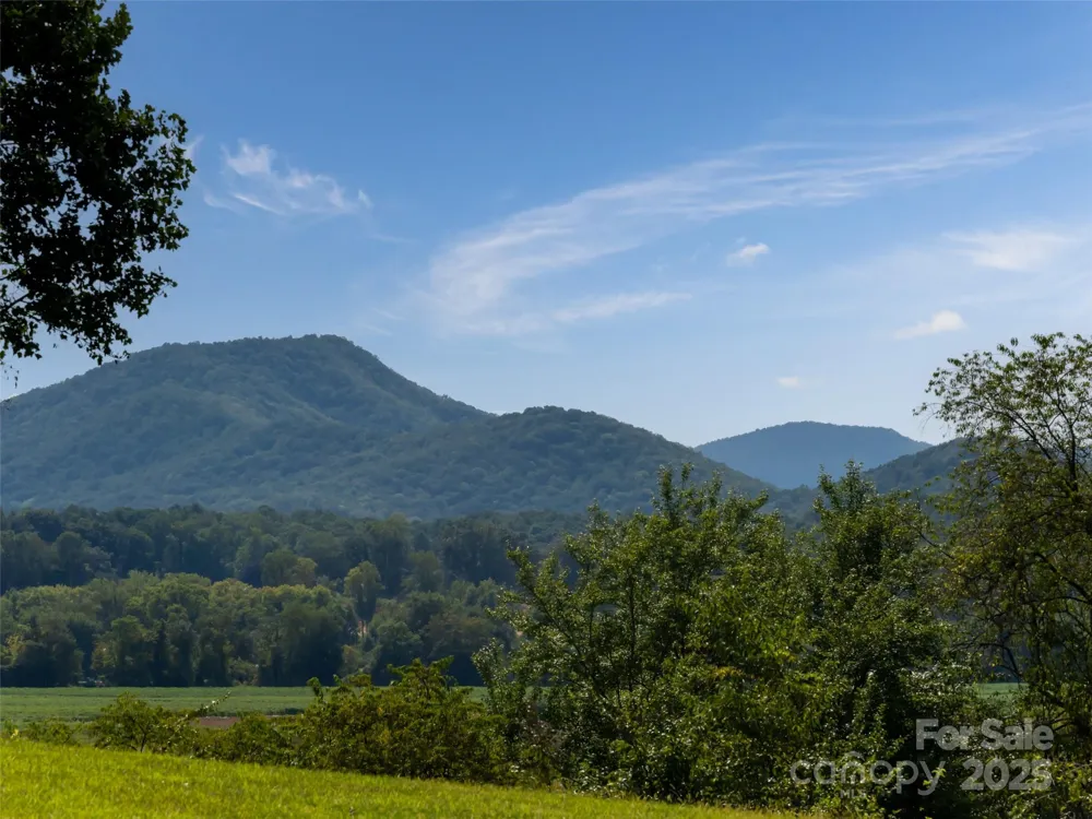 202 Soapstone Trail #68 Mills River, NC 28759