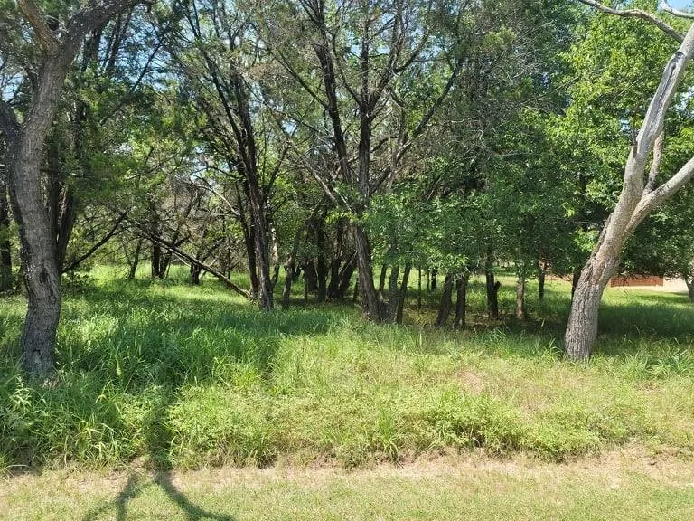 35059 Oak Forest Drive Whitney, TX 76692