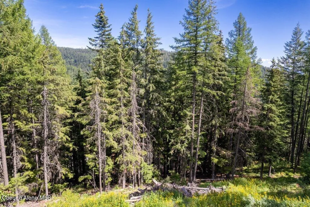 NKA Telemark Road Lot 9 Sandpoint, ID 83864
