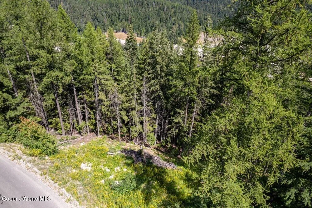 NKA Telemark Road Lot 9 Sandpoint, ID 83864