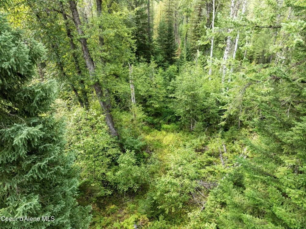 2225 Mud Gulch Road Priest River, ID 83856