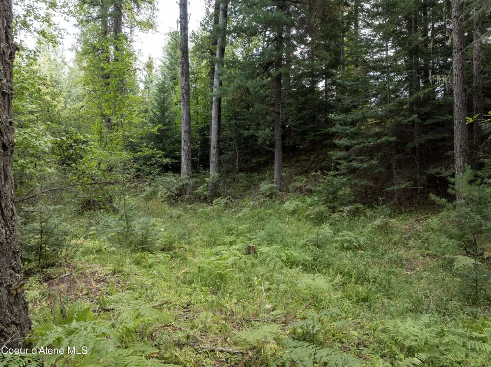 2225 Mud Gulch Road Priest River, ID 83856