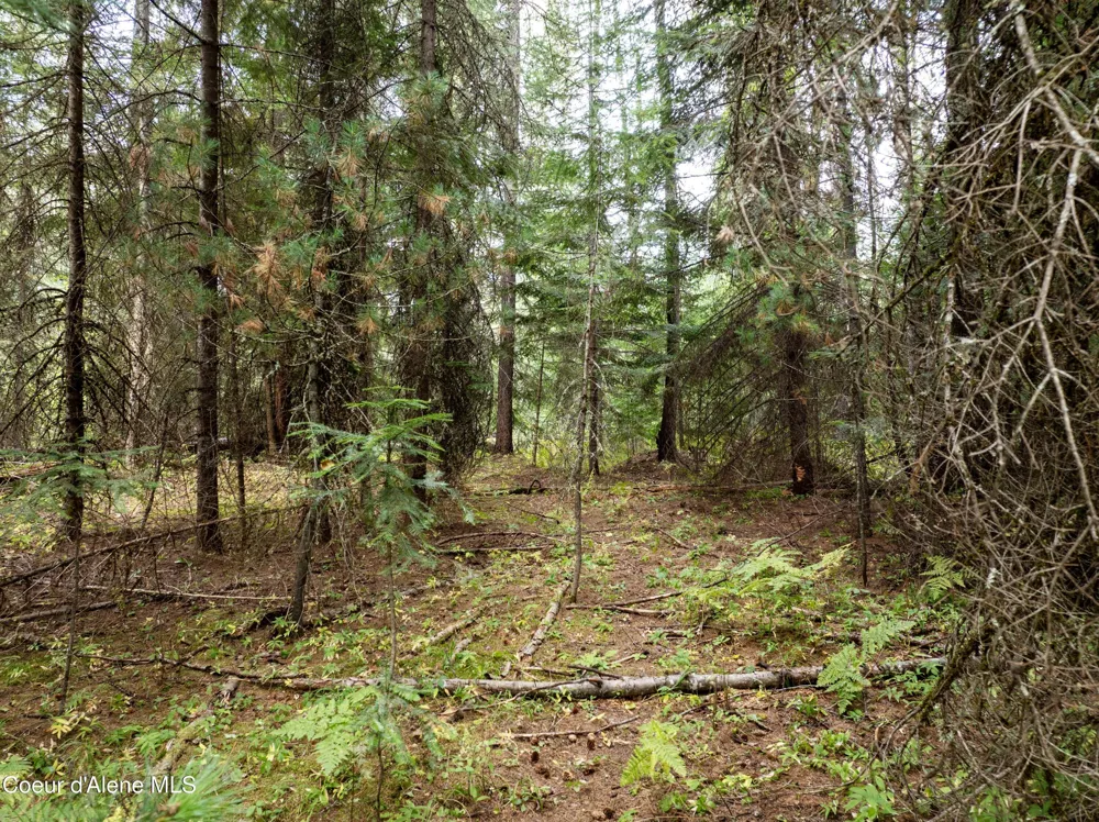 2225 Mud Gulch Road Priest River, ID 83856