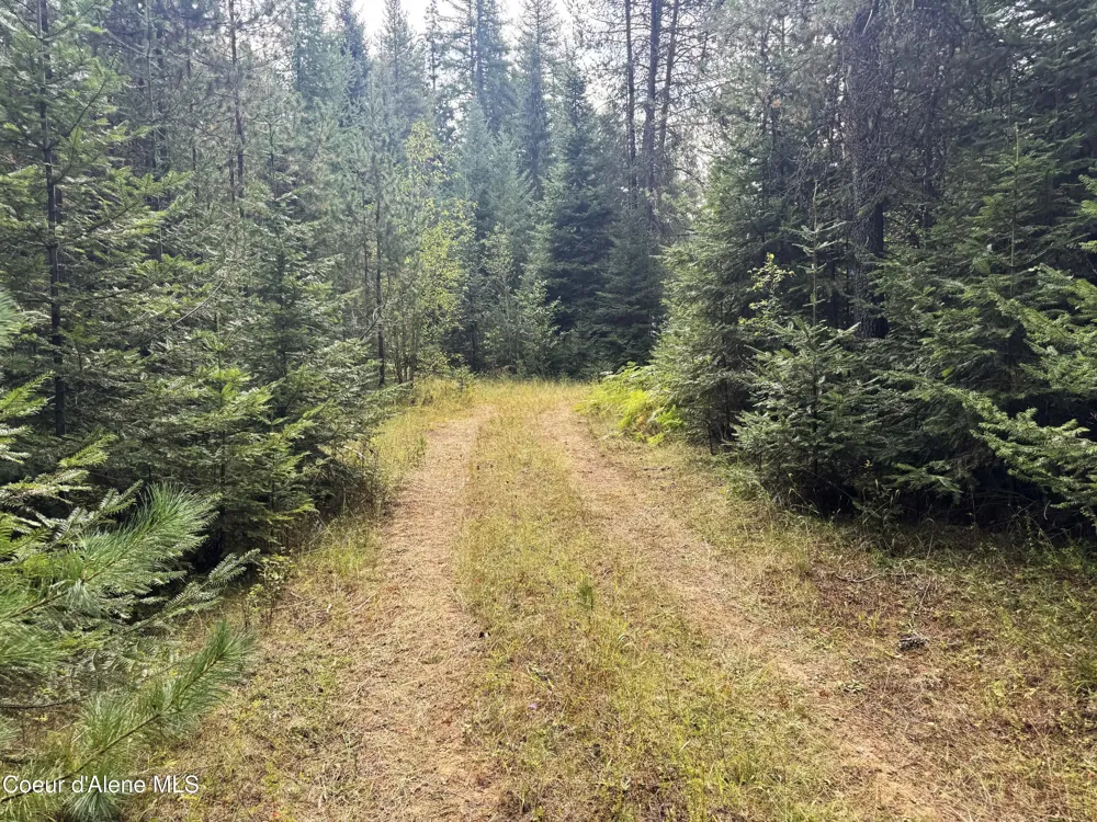 2225 Mud Gulch Road Priest River, ID 83856