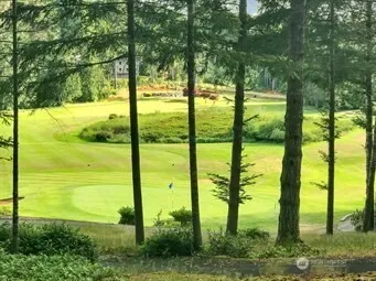 31 E Tintagel Place Shelton, WA 98584