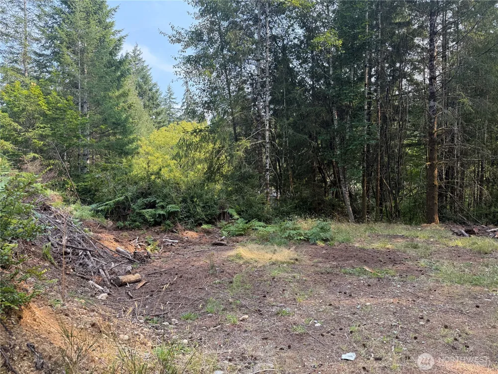 31 E Tintagel Place Shelton, WA 98584