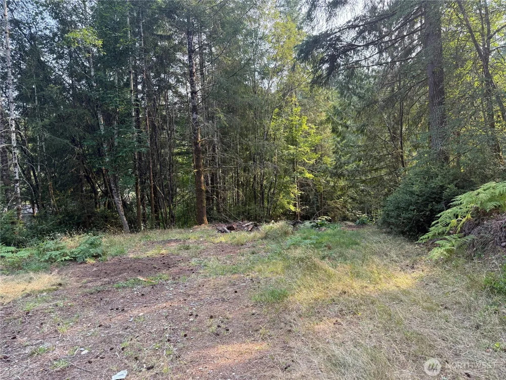 31 E Tintagel Place Shelton, WA 98584