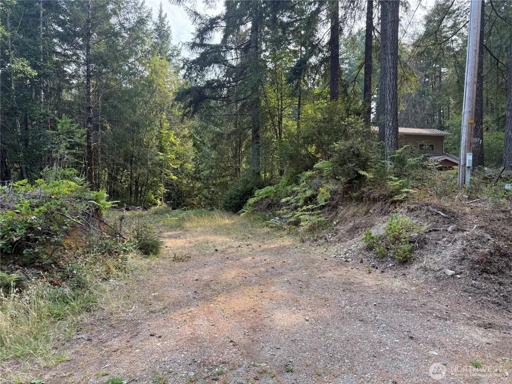 31 E Tintagel Place Shelton, WA 98584