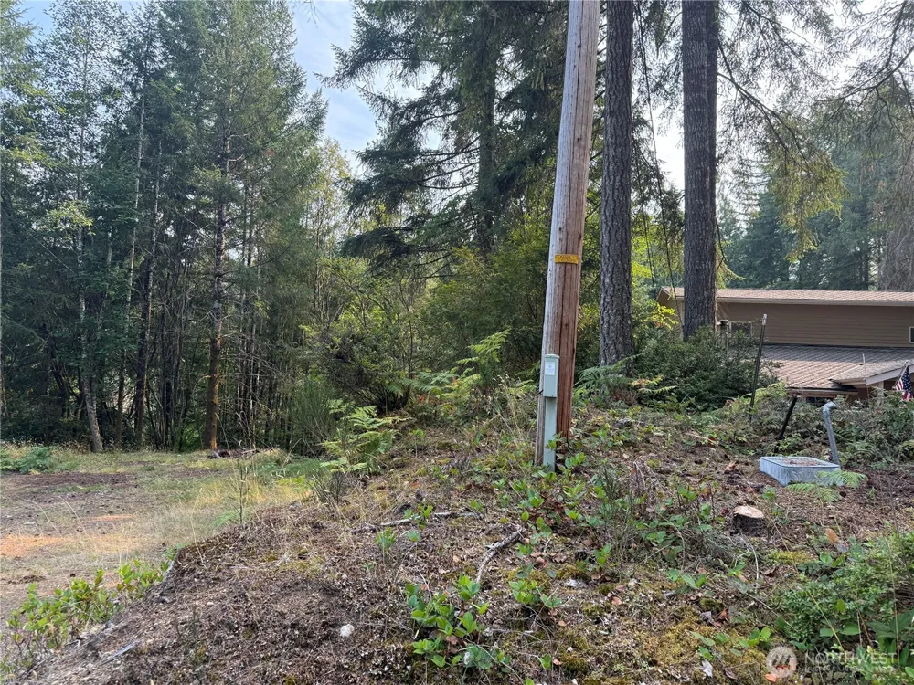 31 E Tintagel Place Shelton, WA 98584
