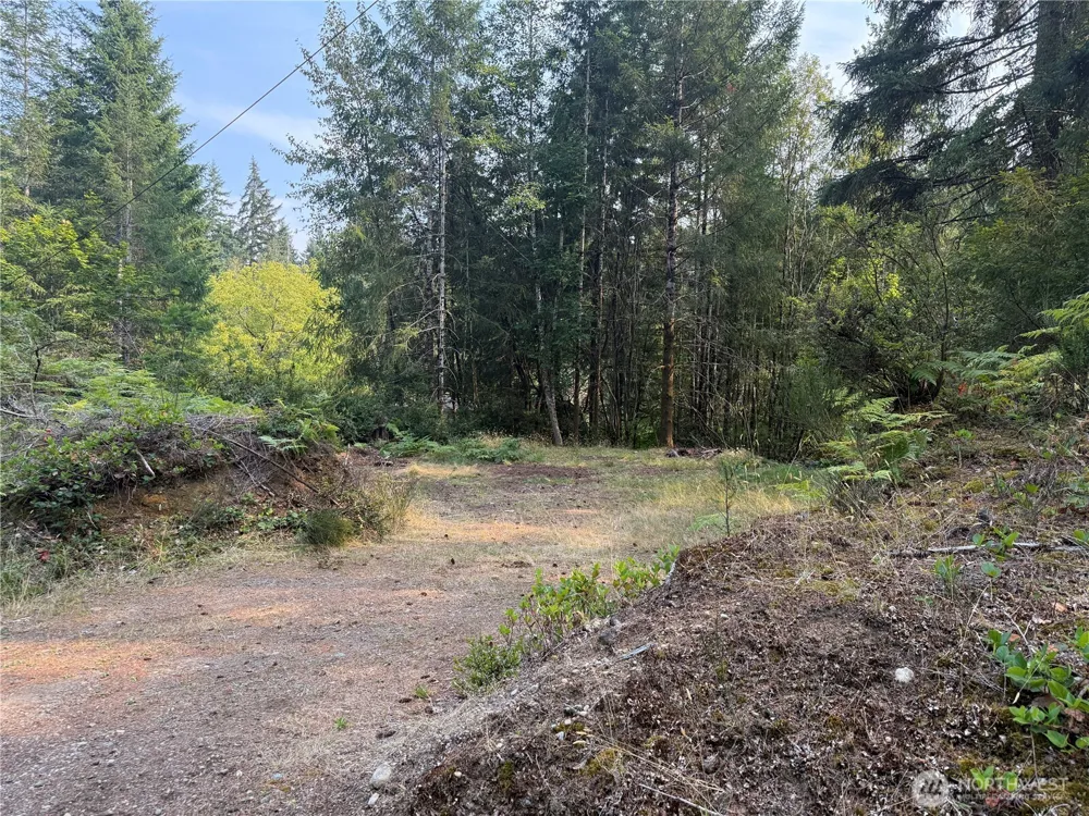 31 E Tintagel Place Shelton, WA 98584