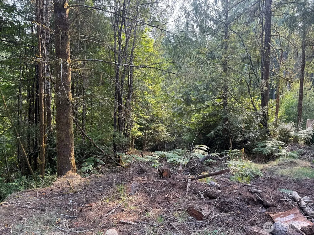 31 E Tintagel Place Shelton, WA 98584