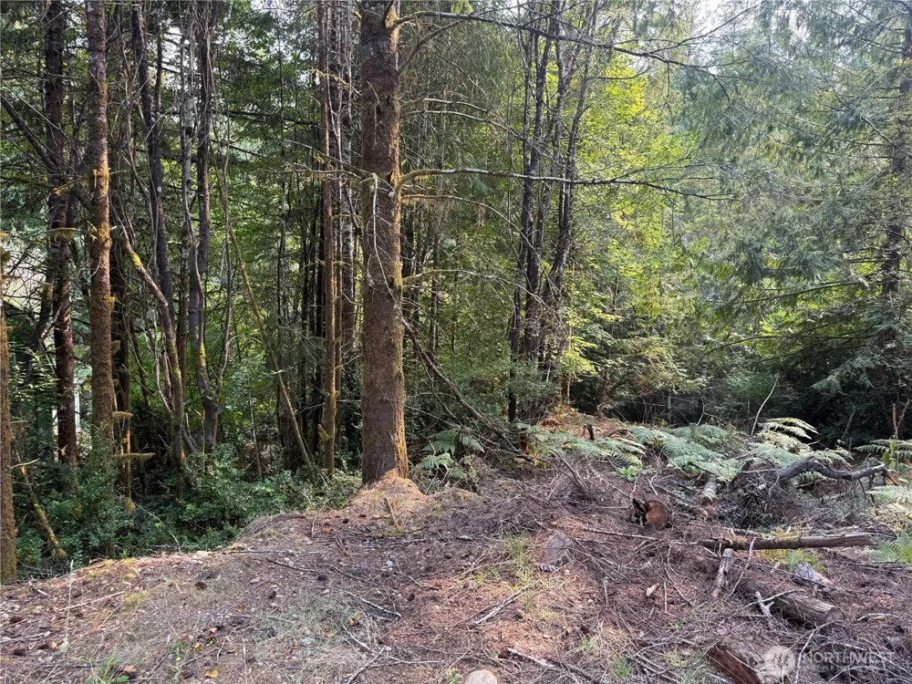 31 E Tintagel Place Shelton, WA 98584