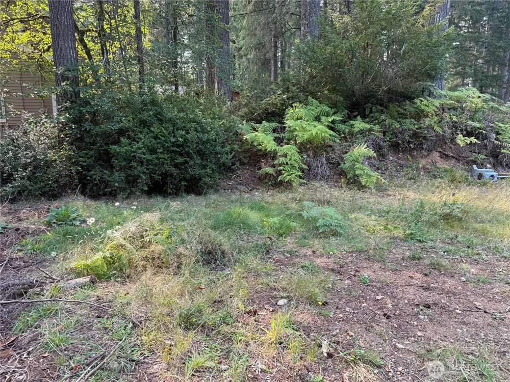 31 E Tintagel Place Shelton, WA 98584