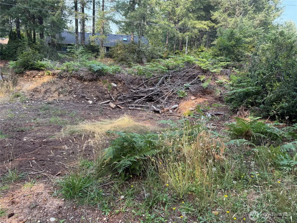 31 E Tintagel Place Shelton, WA 98584