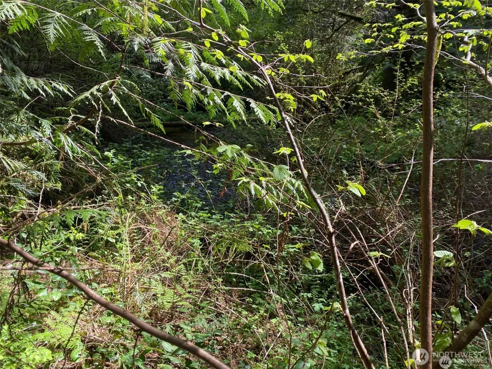 31 E Tintagel Place Shelton, WA 98584