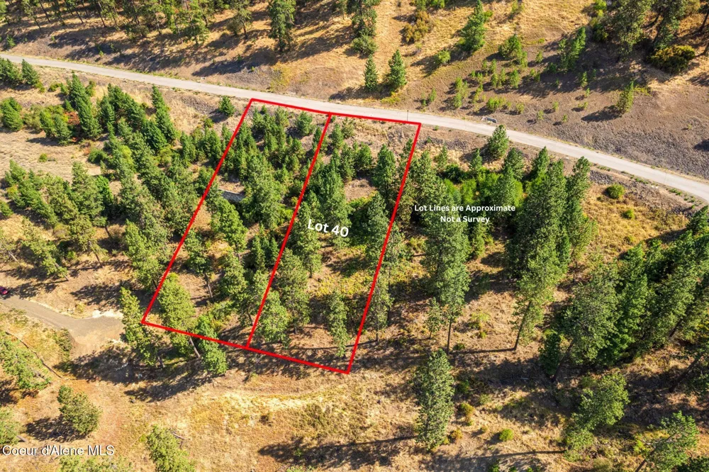 NNA S PROMONTORY RD (LOT 40) Harrison, ID 83833