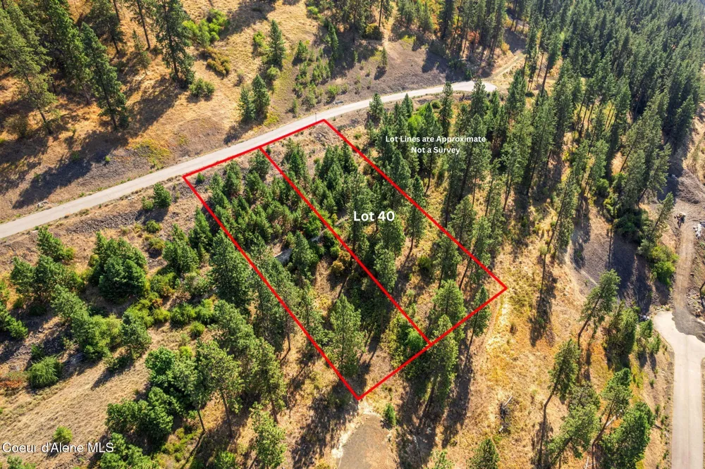 NNA S PROMONTORY RD (LOT 40) Harrison, ID 83833