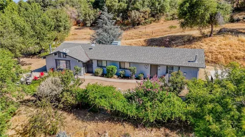 33301 road 233