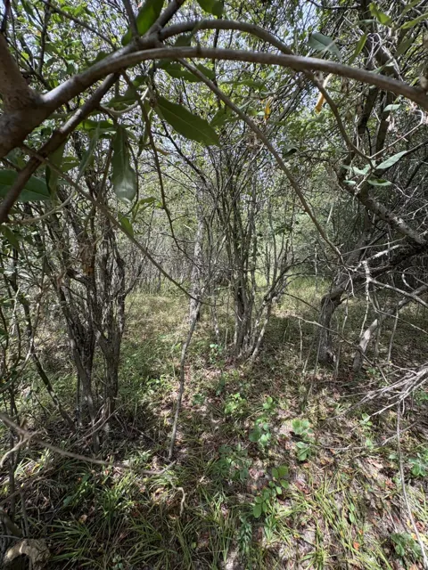 Lake Miramachi #Lots 519,520