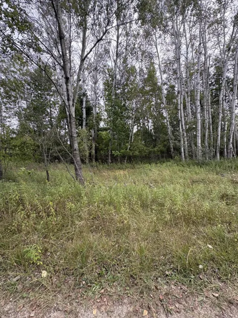 Coocpa- Lake Miramachi #lots 455, 456