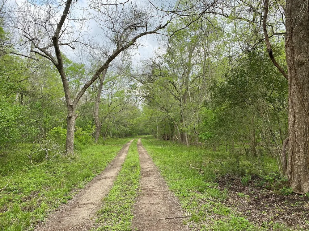 1950 Hagerson Road Sugar Land, TX 77479