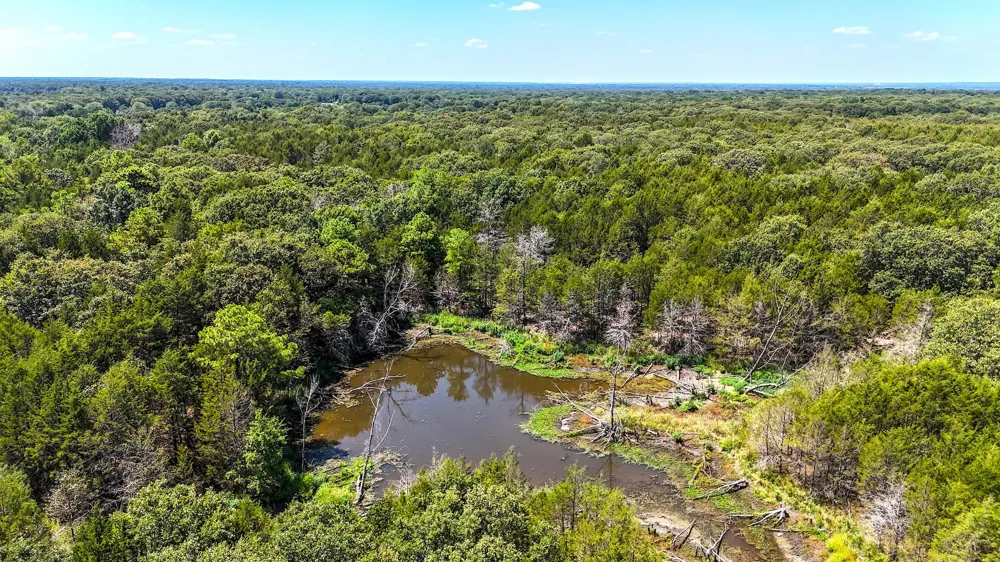 Fm-273 Ivanhoe, TX 75447